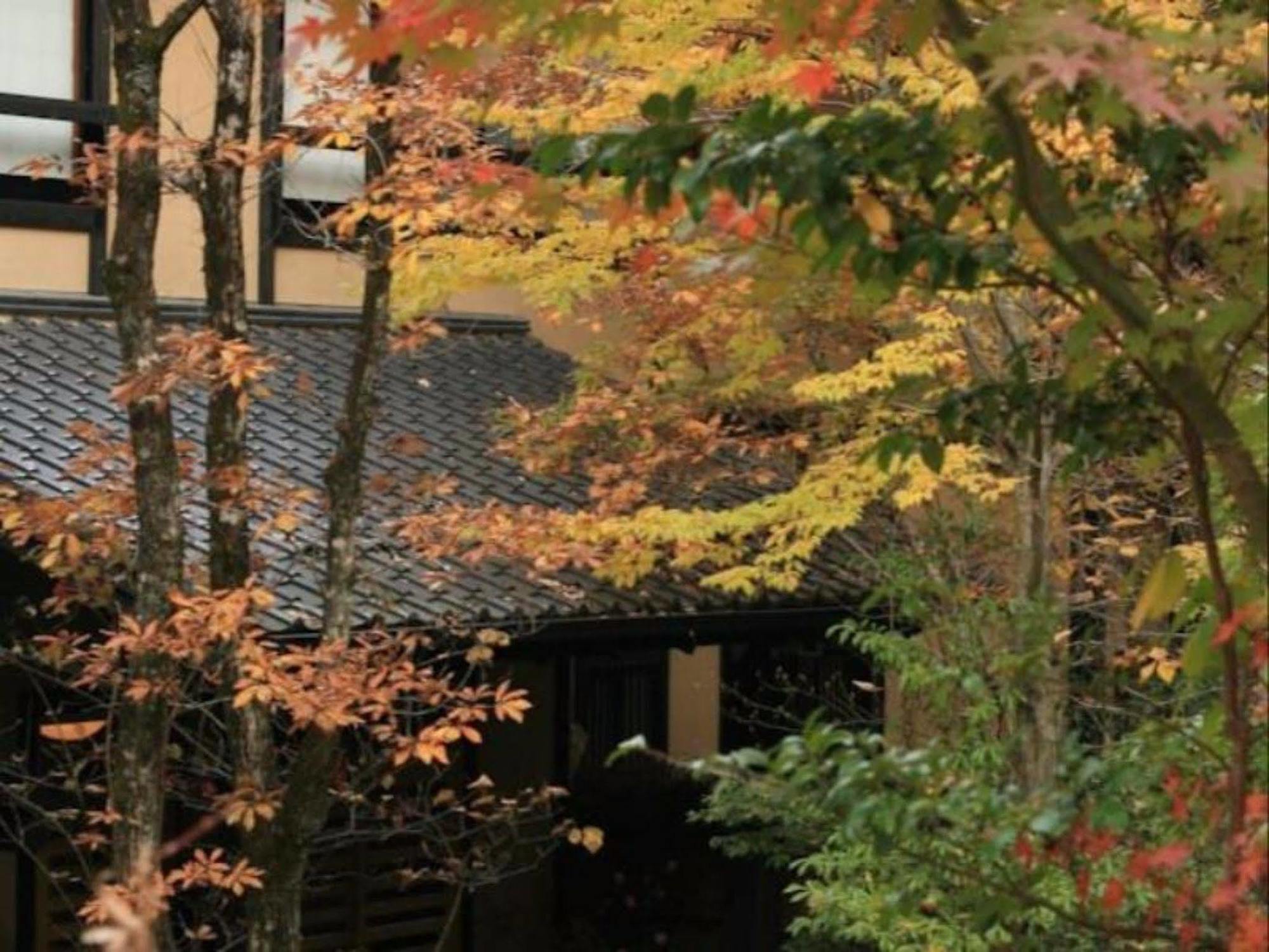 Ryokan Wakaba Minamioguni Exteriör bild